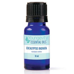 Eucalyptus Radiata - 10 ml bottle